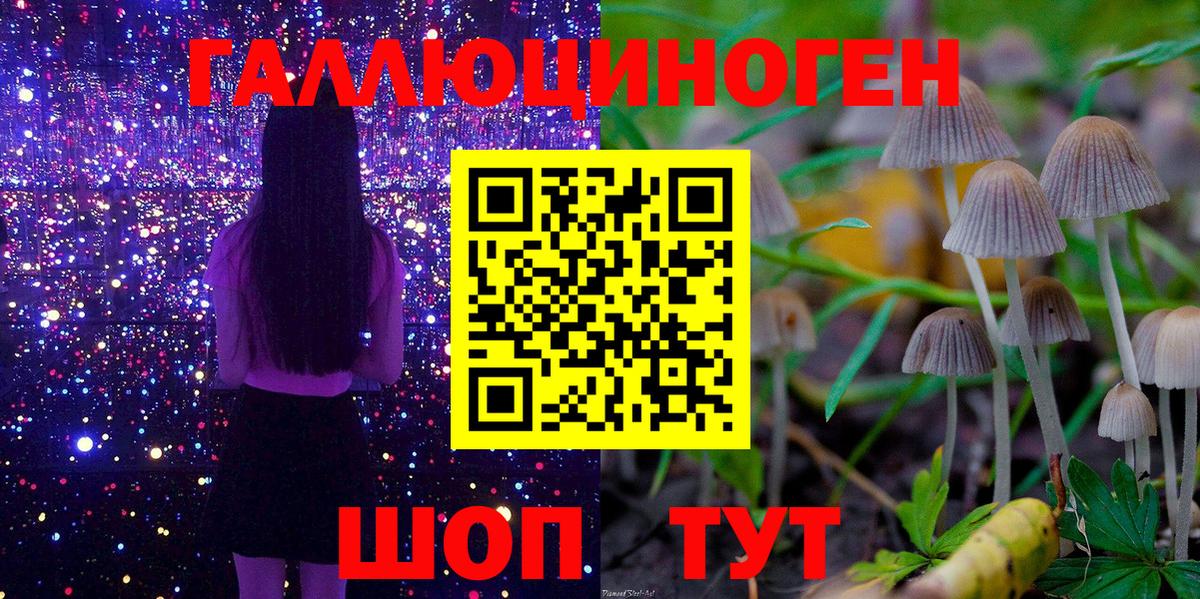 Ржев  купить наркотики сайты  Вход с VPN  Галлюциногенные грибы прущие грибы 