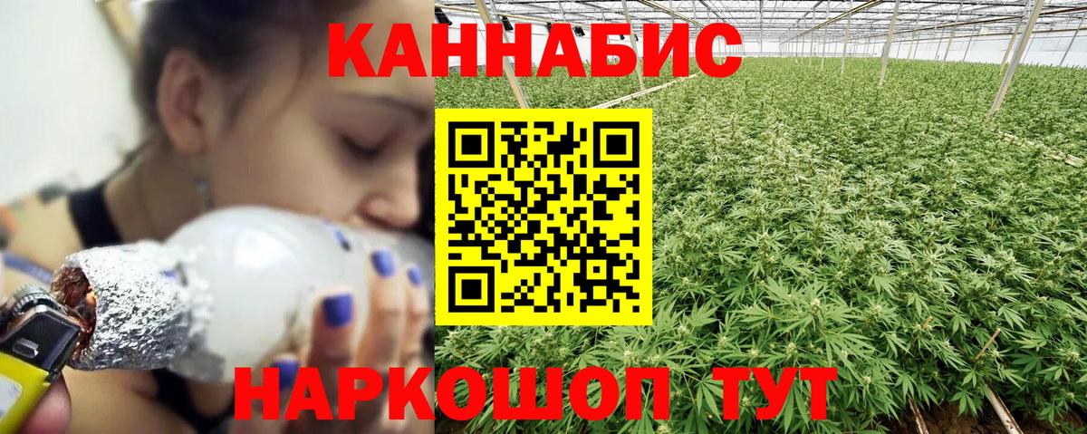 Канабис ГИДРОПОН  Вход с VPN  Каннабис SATIVA & INDICA  Конопля Bruce Banner  Ржев 